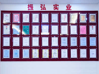 振弘-榮譽風(fēng)采